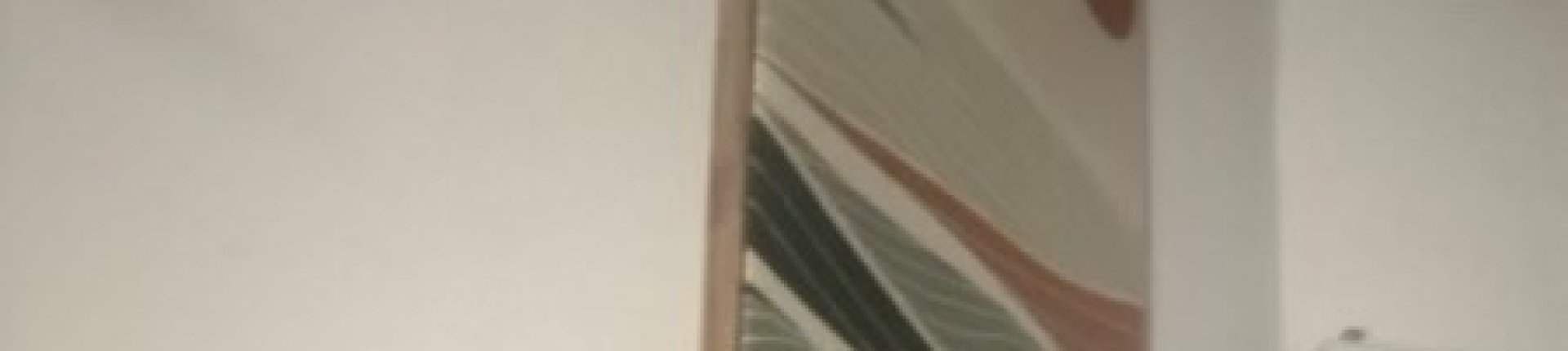 Cover image for public collection