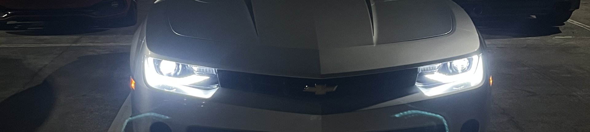 Cover image for public collection