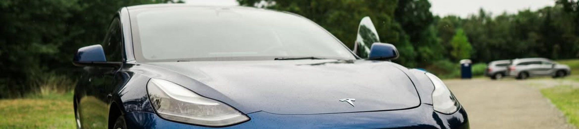 Cover image for public collection