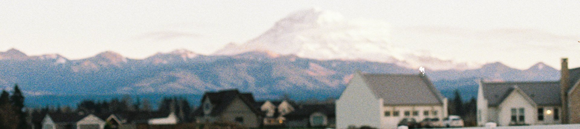 Cover image for public collection