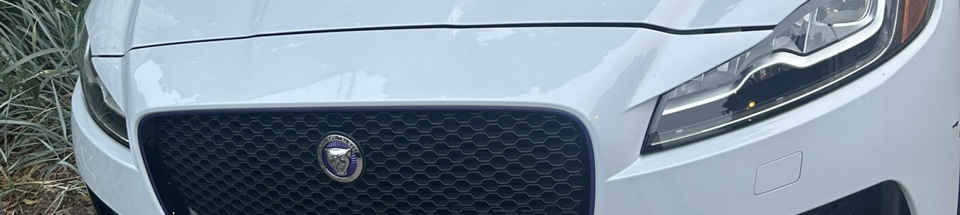 Cover image for public collection