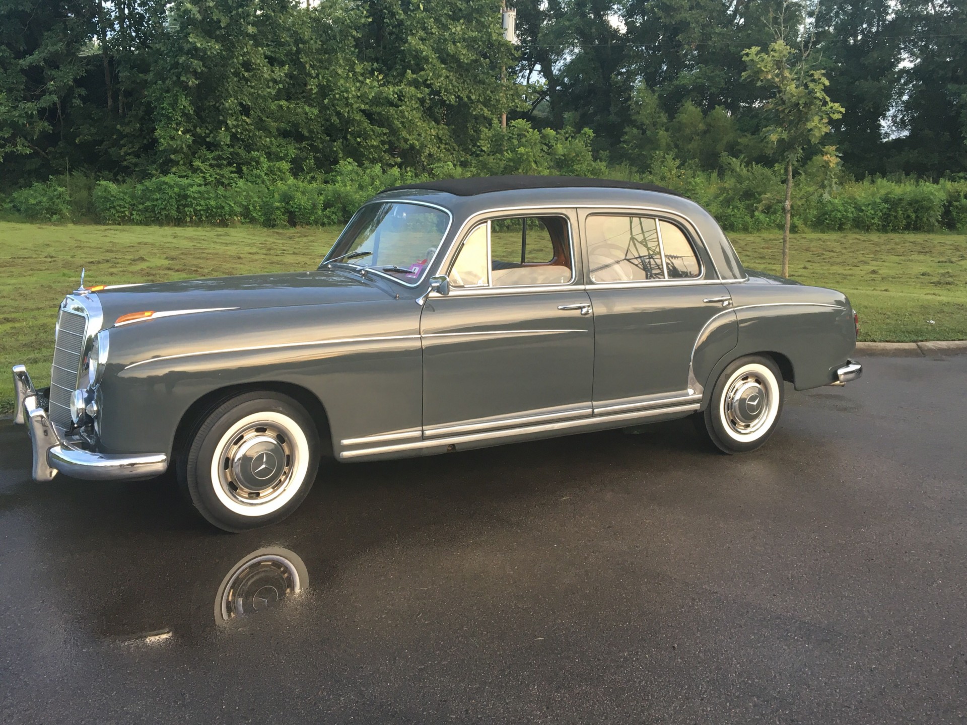 Cover image for public collection