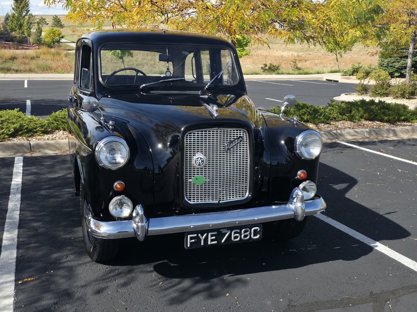 Cover image for public collection