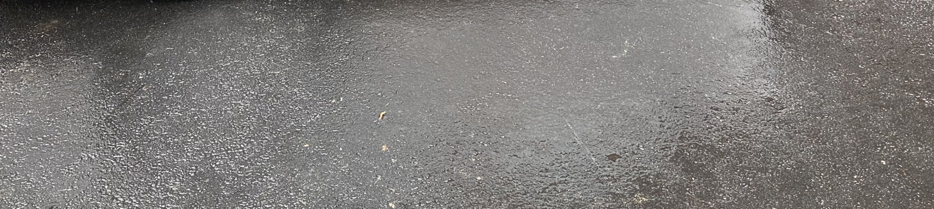 Cover image for public collection