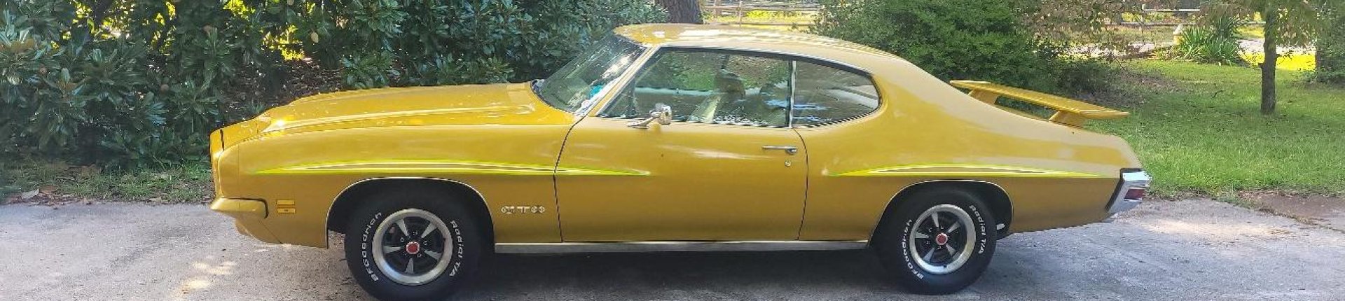 Cover image for public collection