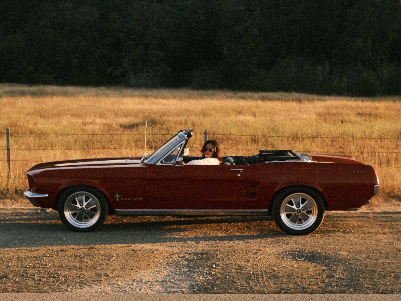 Cover image for public collection