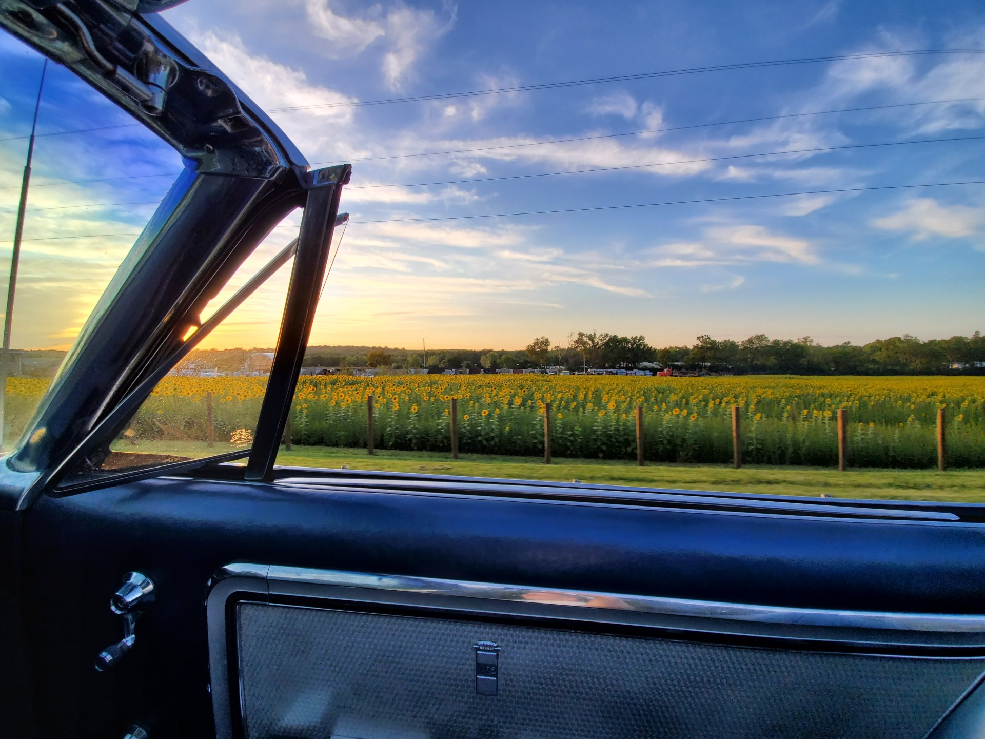 Cover image for public collection