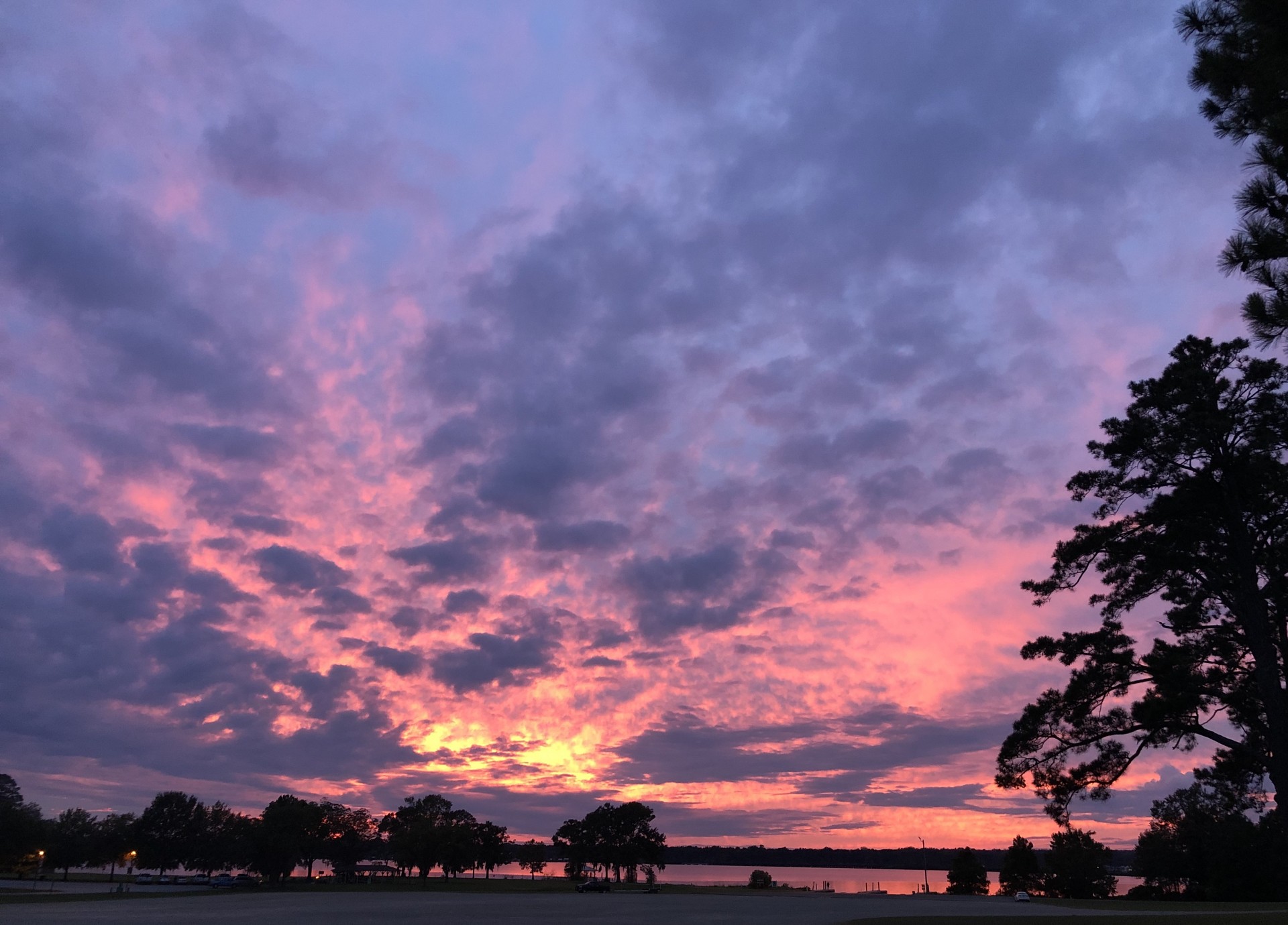 Cover image for public collection