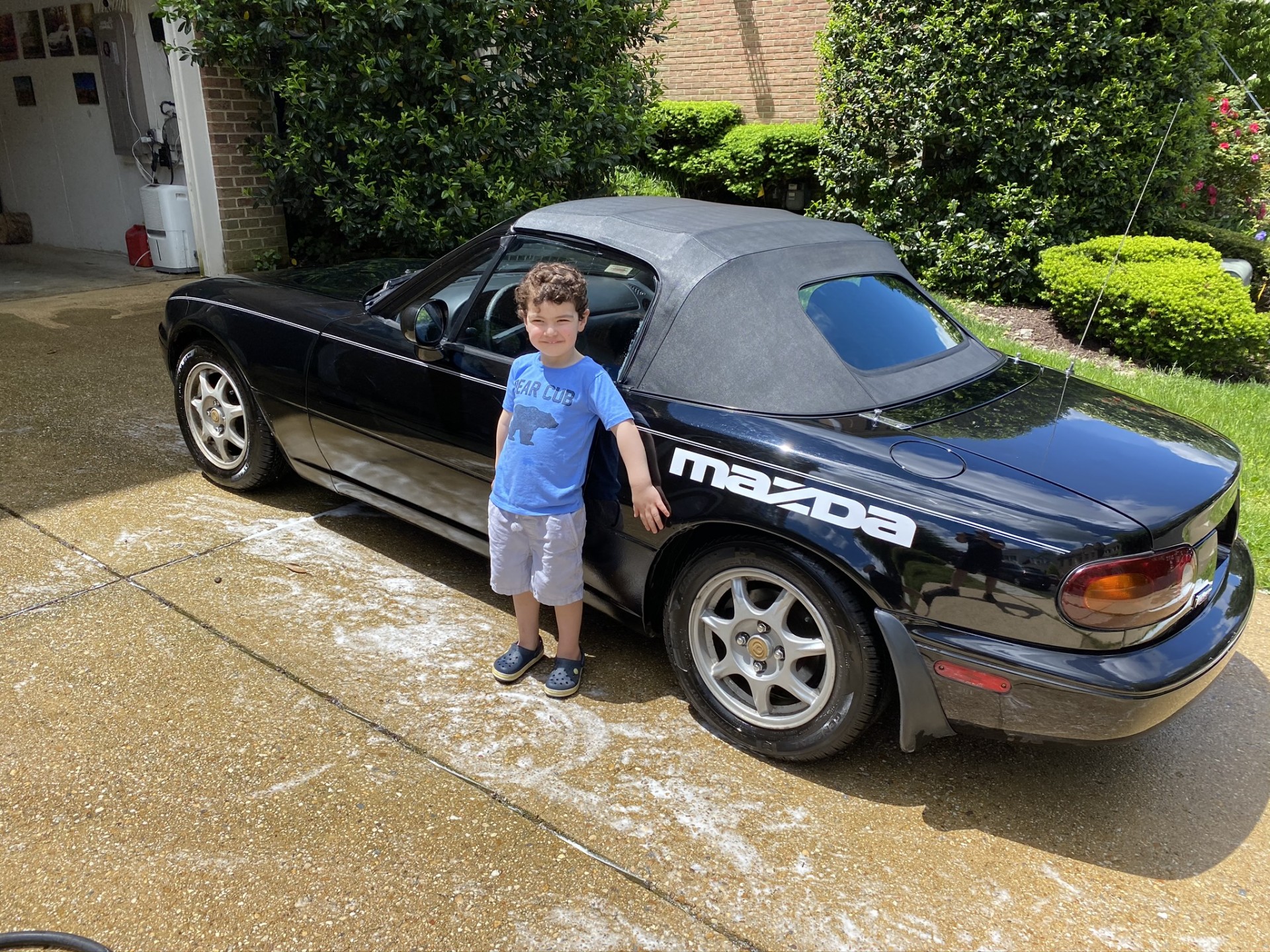 Cover image for public collection