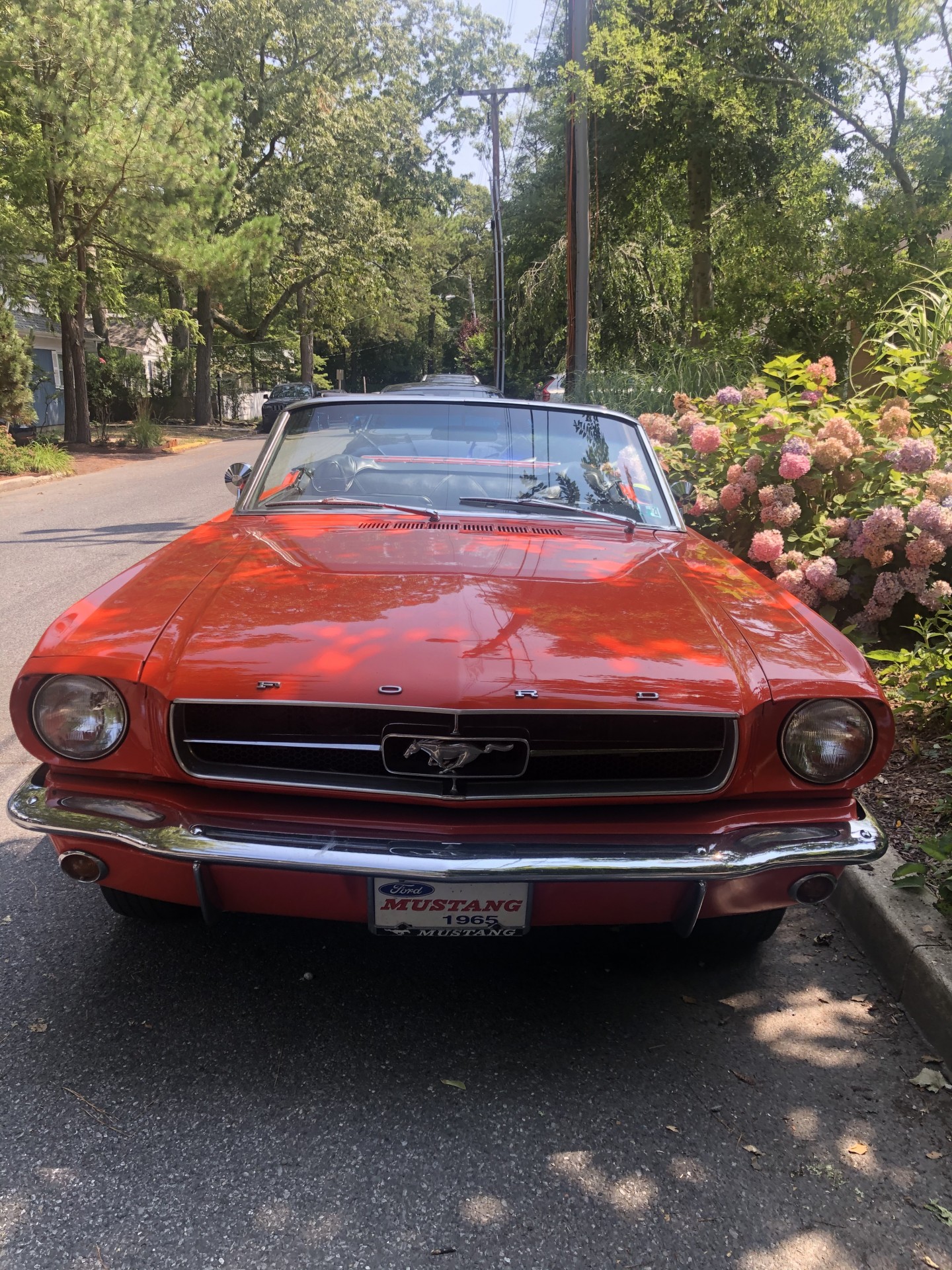 Cover image for public collection