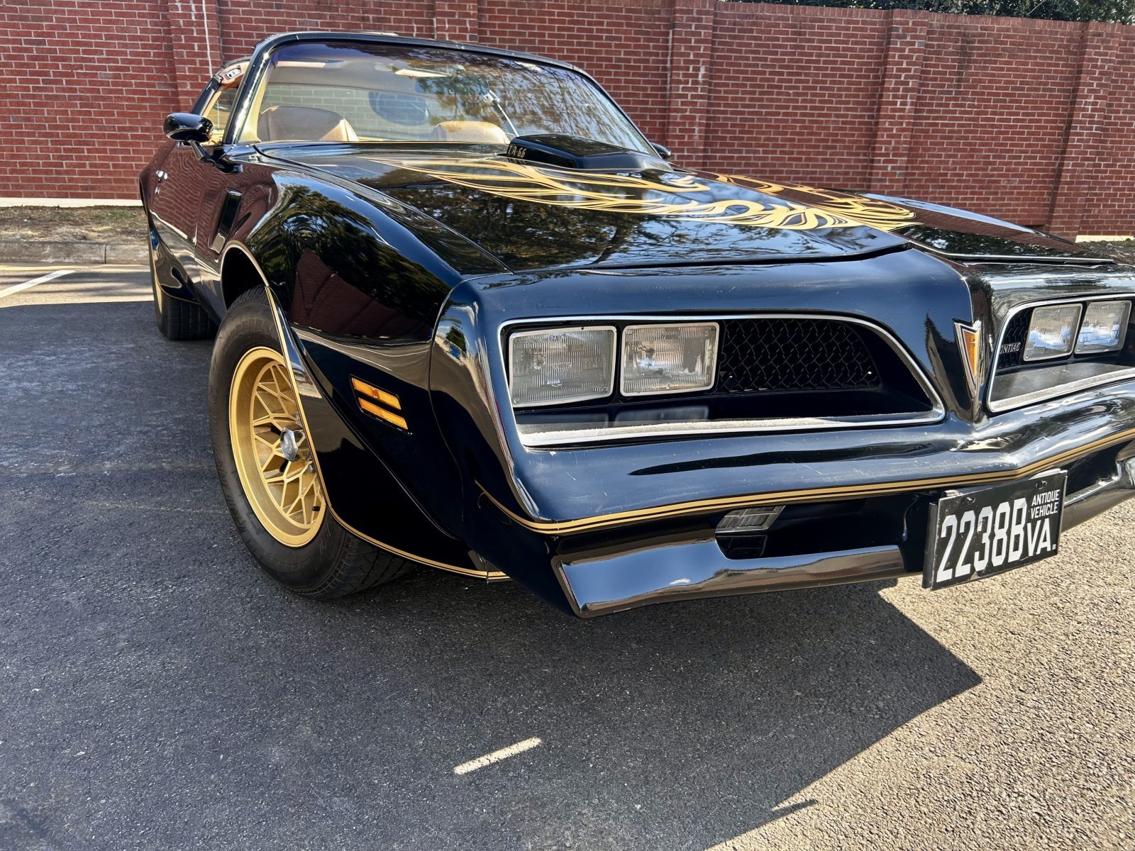 Cover image for public collection