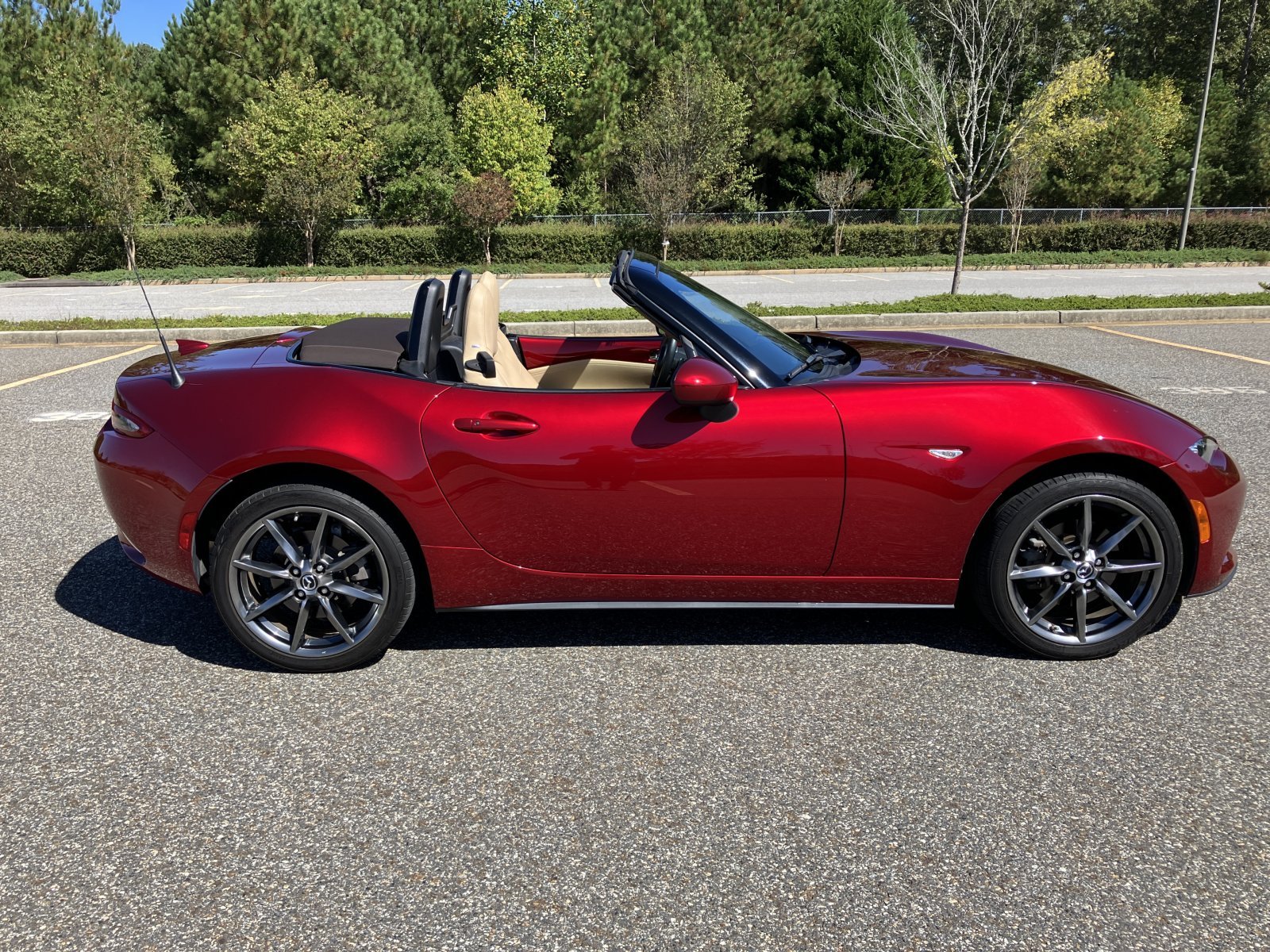 Cover image for public collection