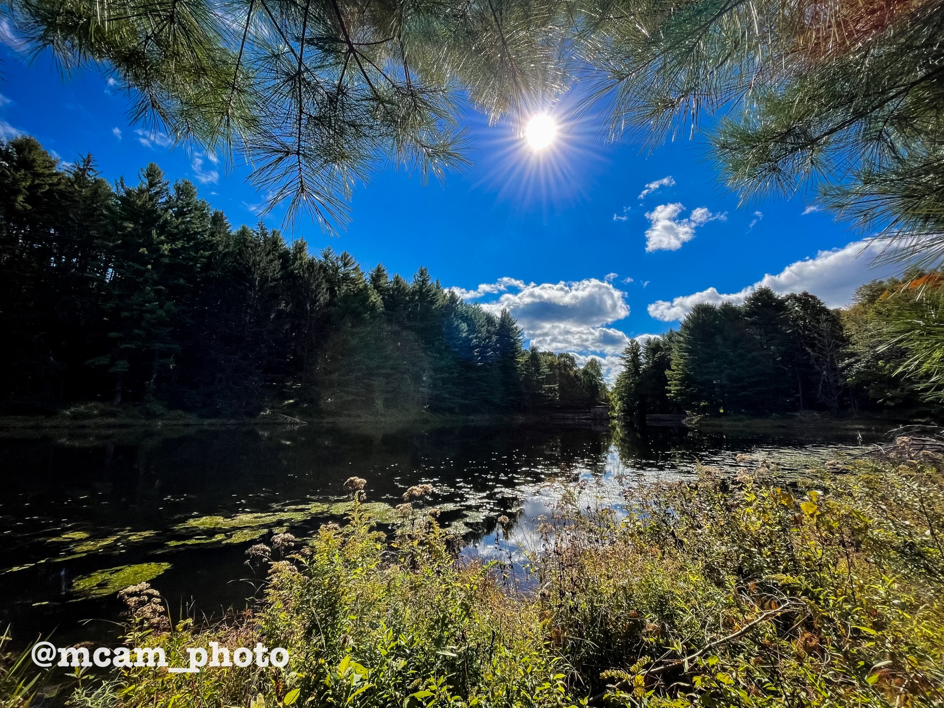 Cover image for public collection