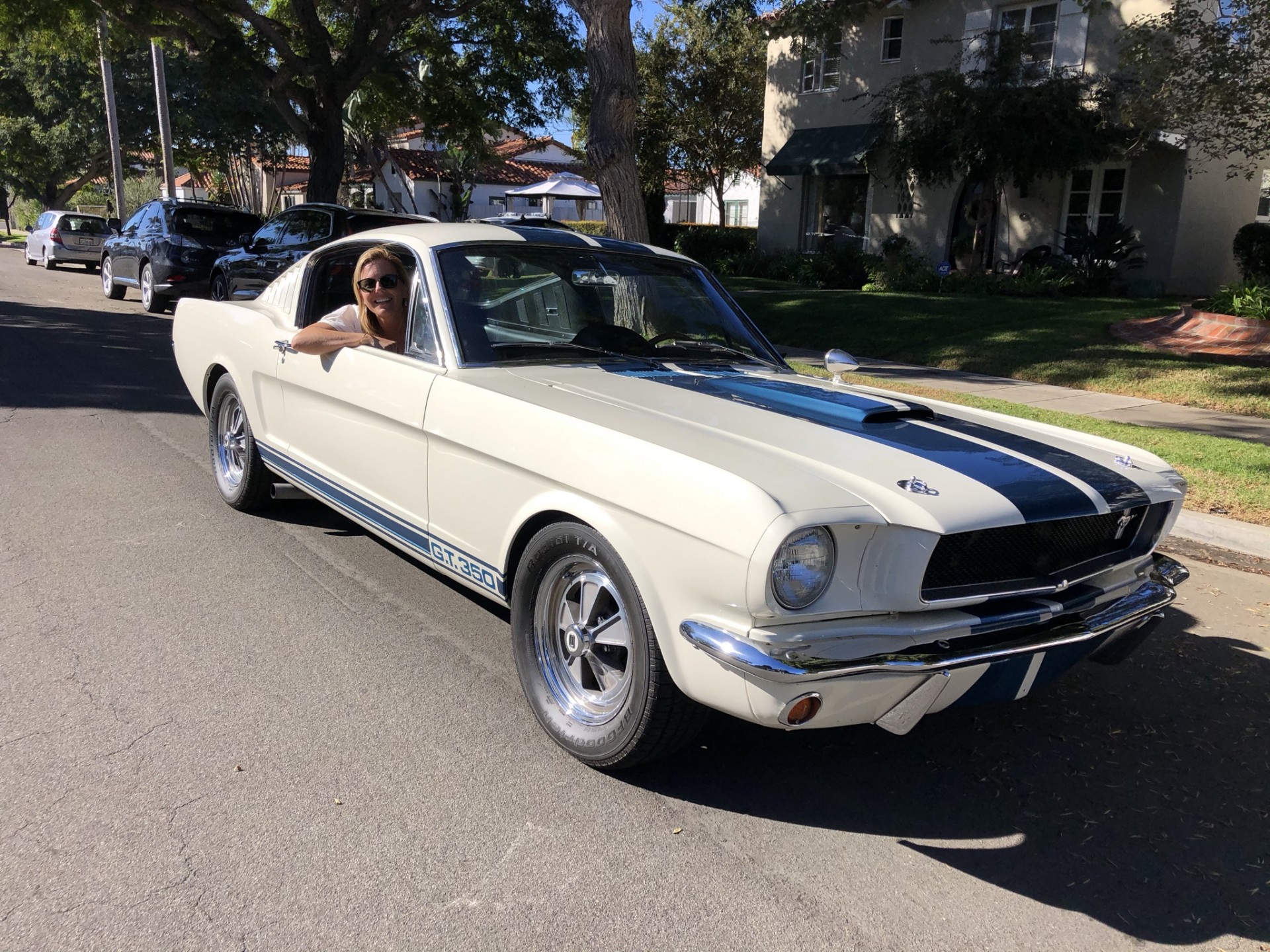 Cover image for public collection