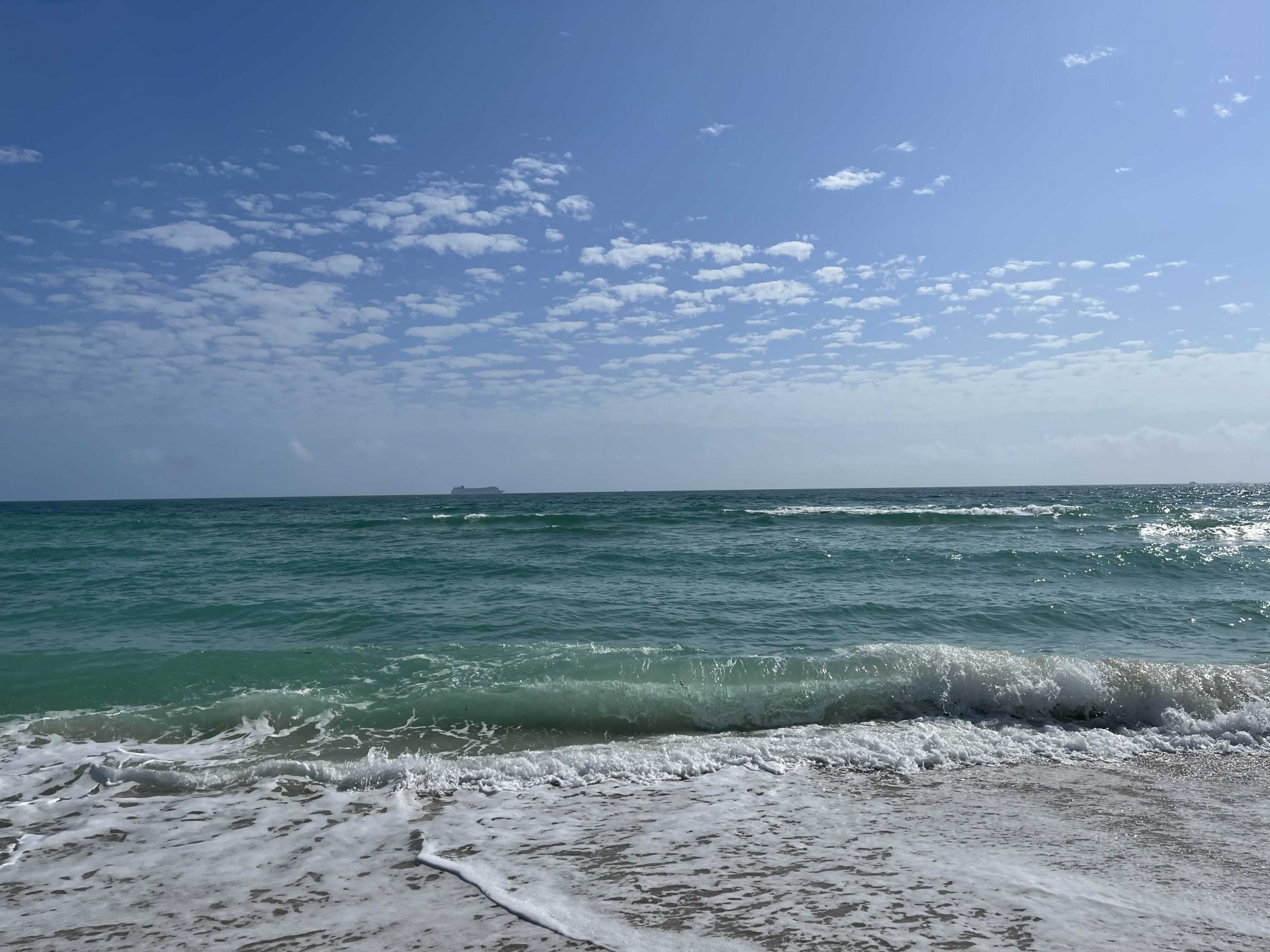 Cover image for public collection