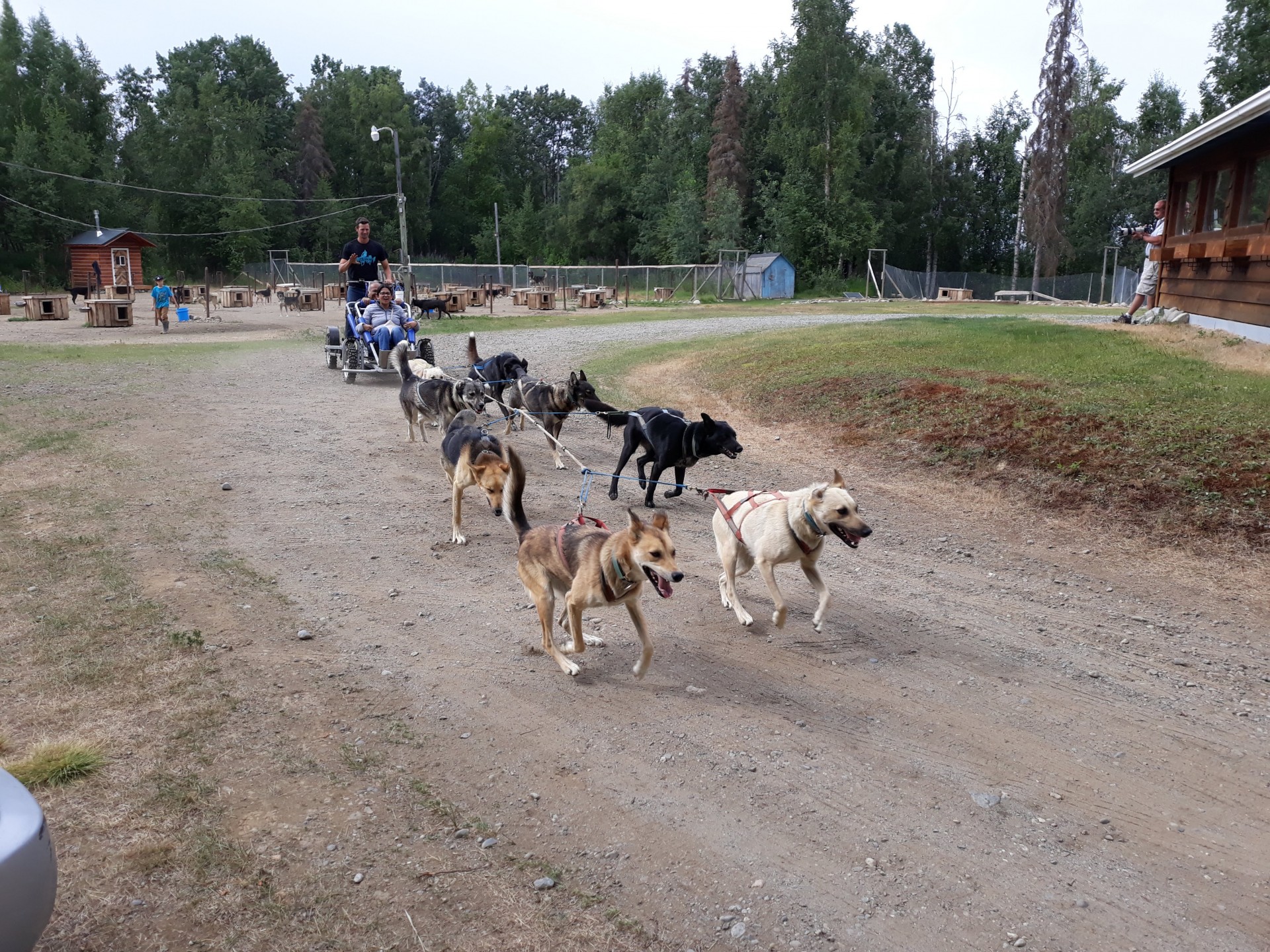 Cover image for public collection