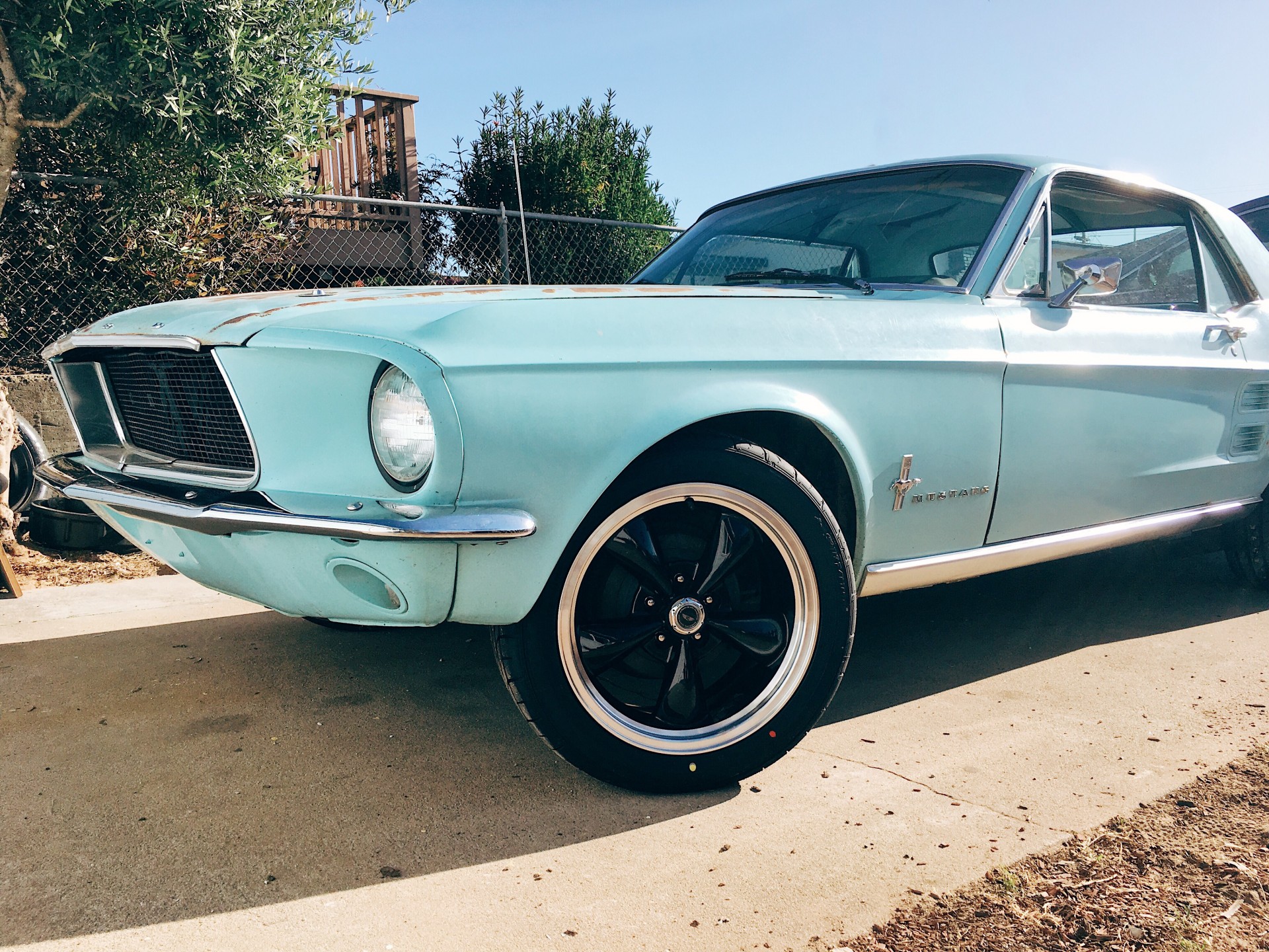 Cover image for public collection