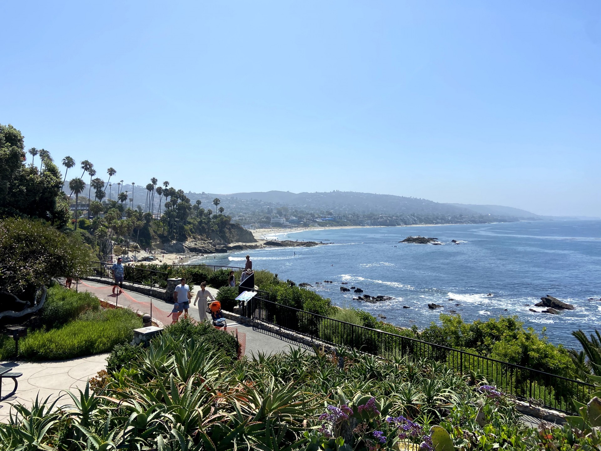 Cover image for public collection