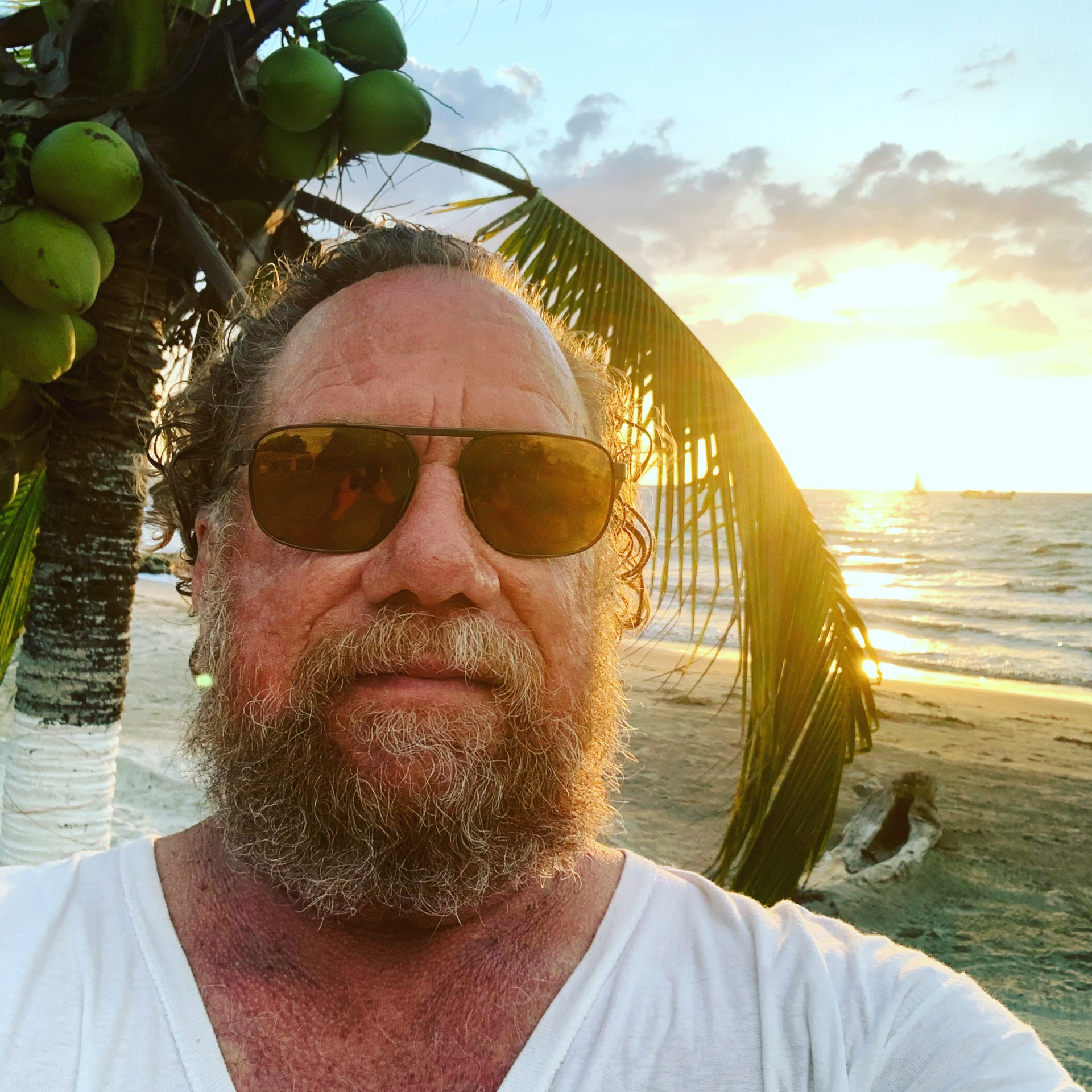 Cover image for public collection