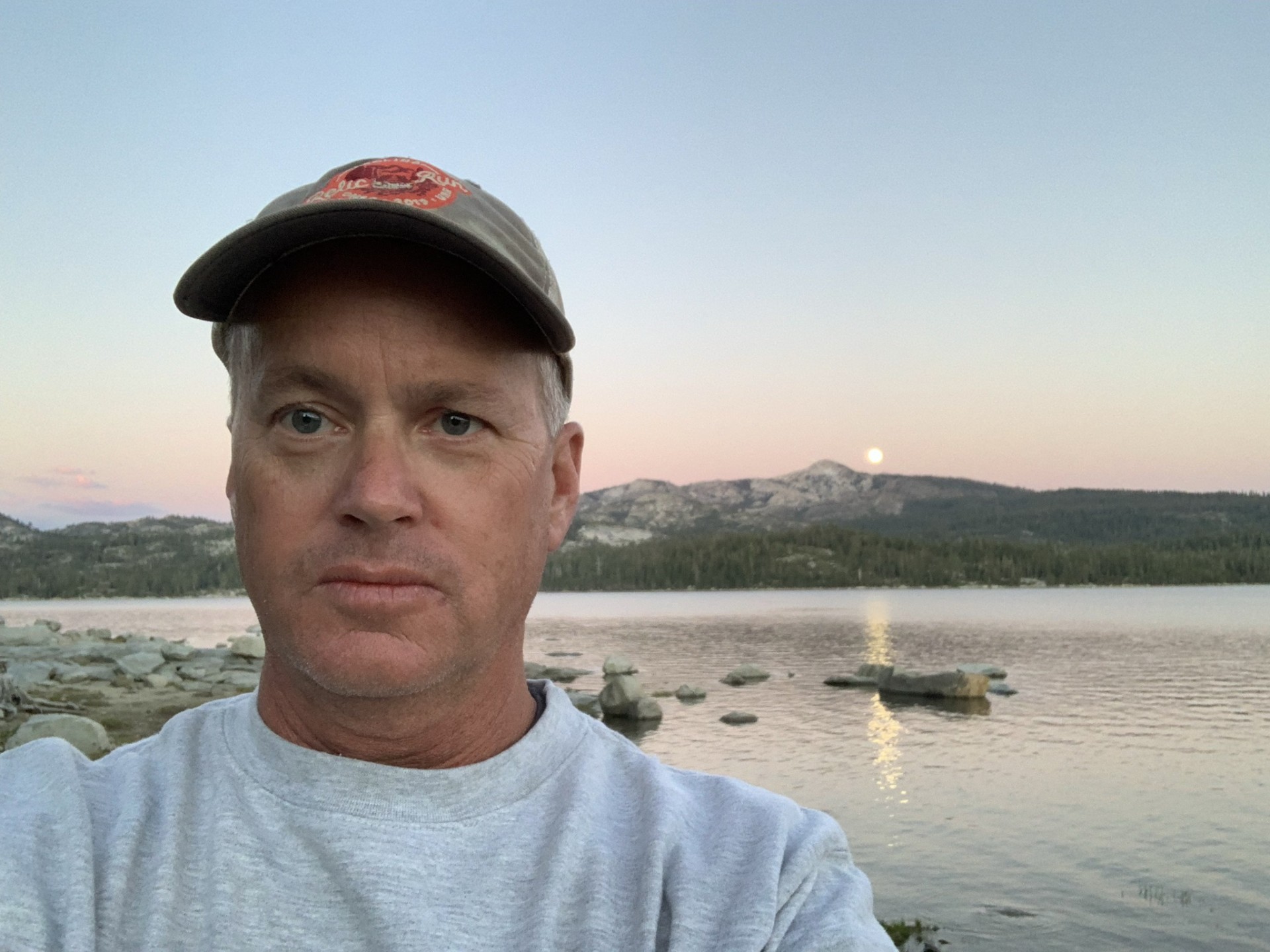 Cover image for public collection