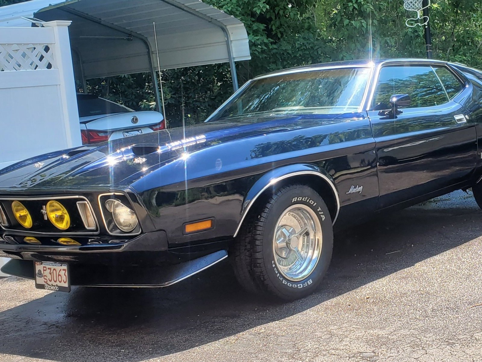 Cover image for public collection