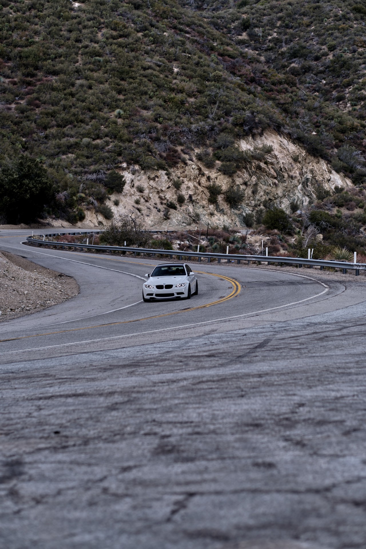 Cover image for public collection