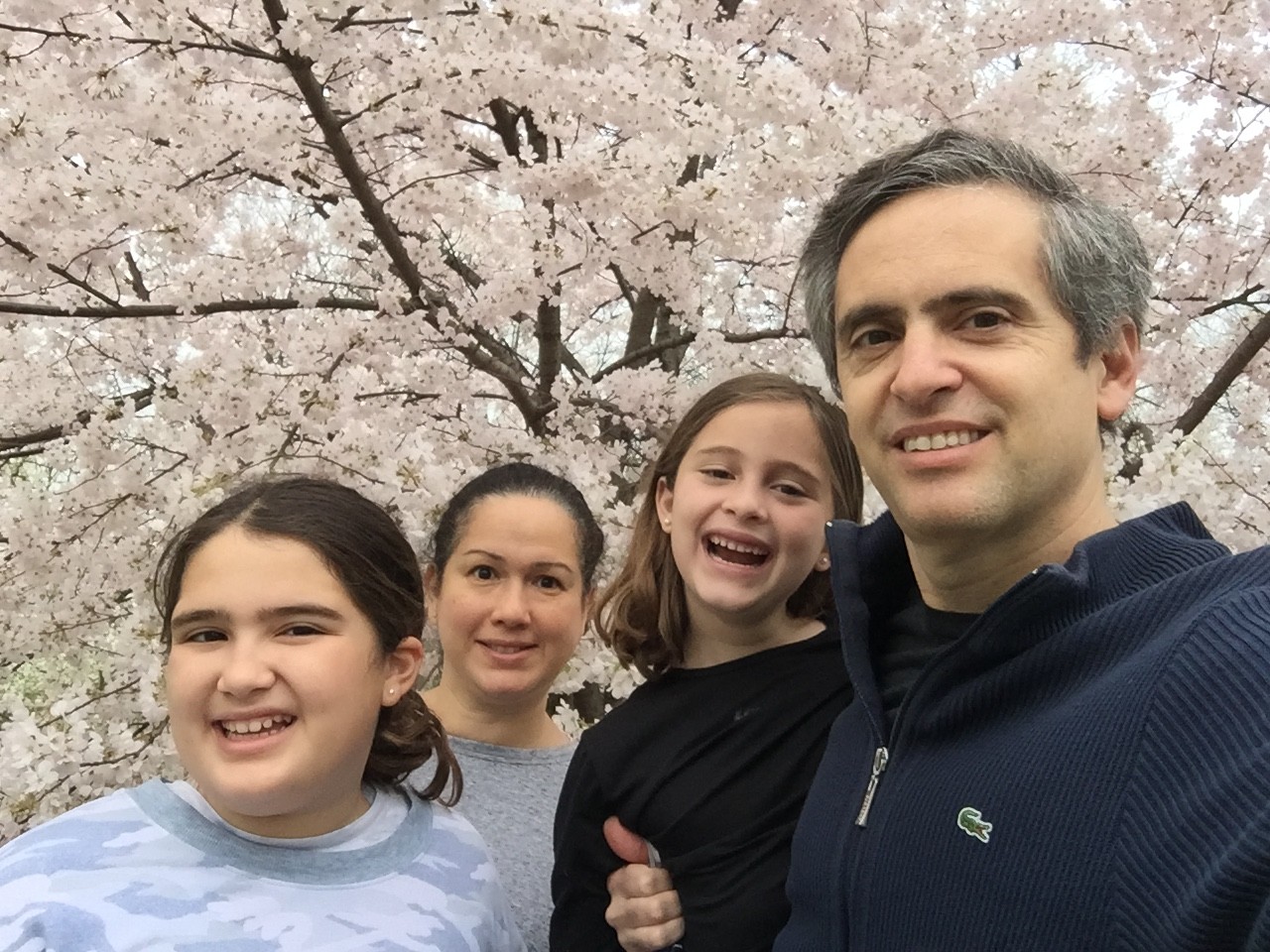 Cover image for public collection