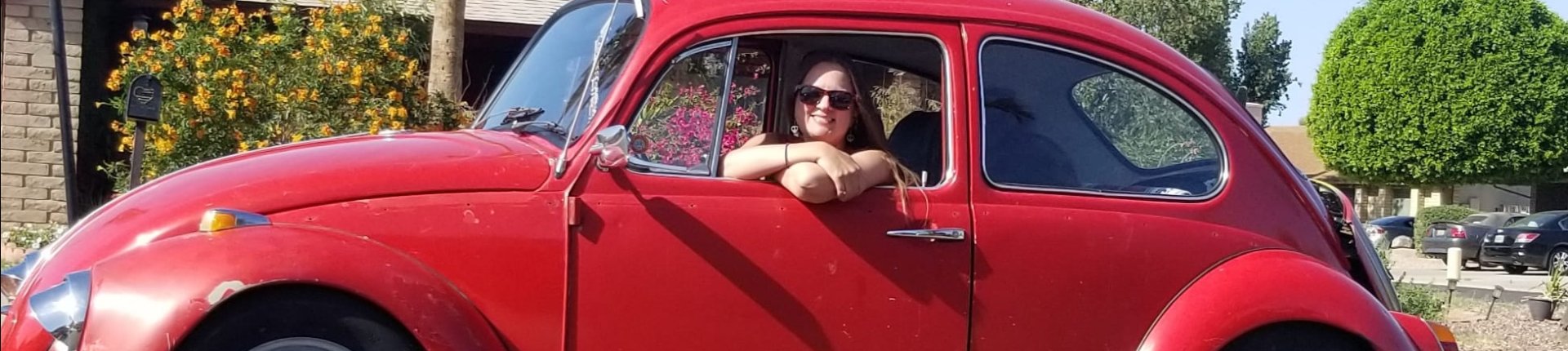 Cover image for public collection