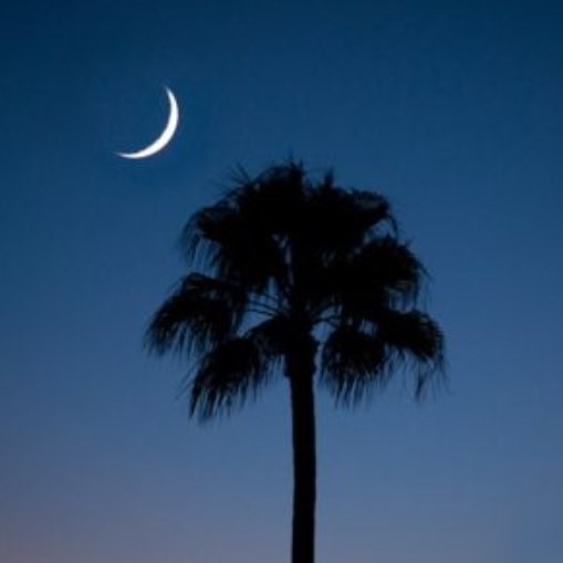 Cover image for public collection