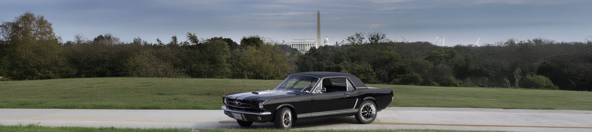 Cover image for public collection