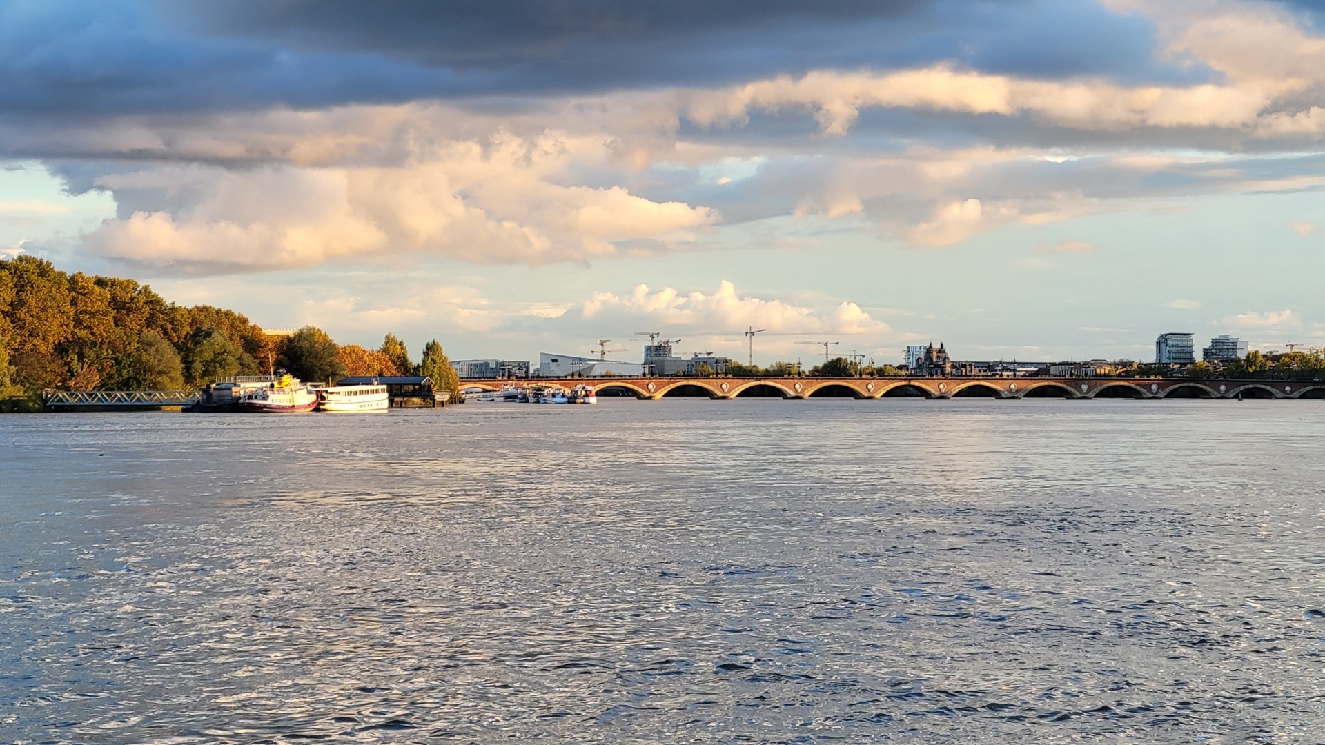 Cover image for public collection