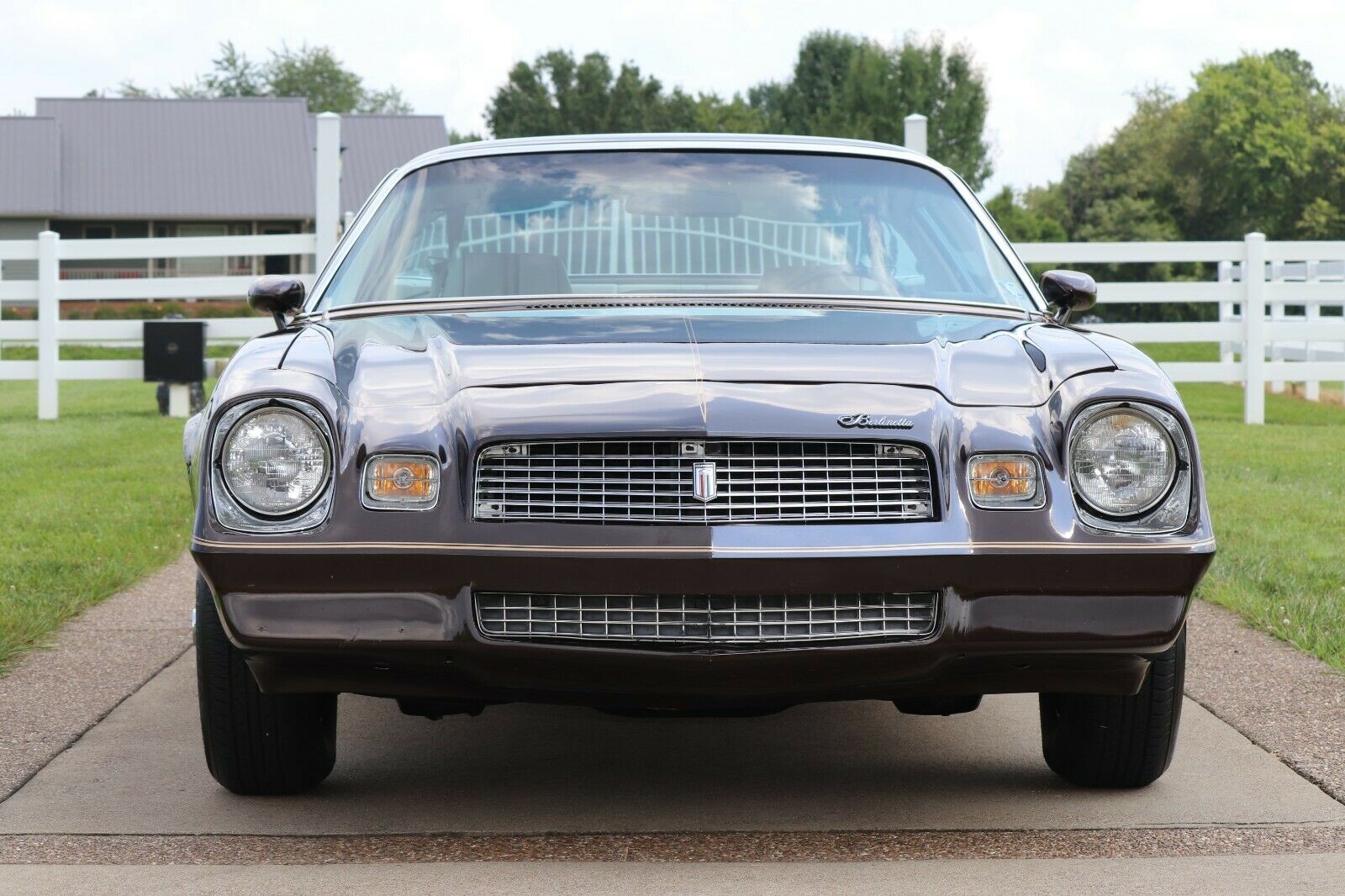 Cover image for public collection