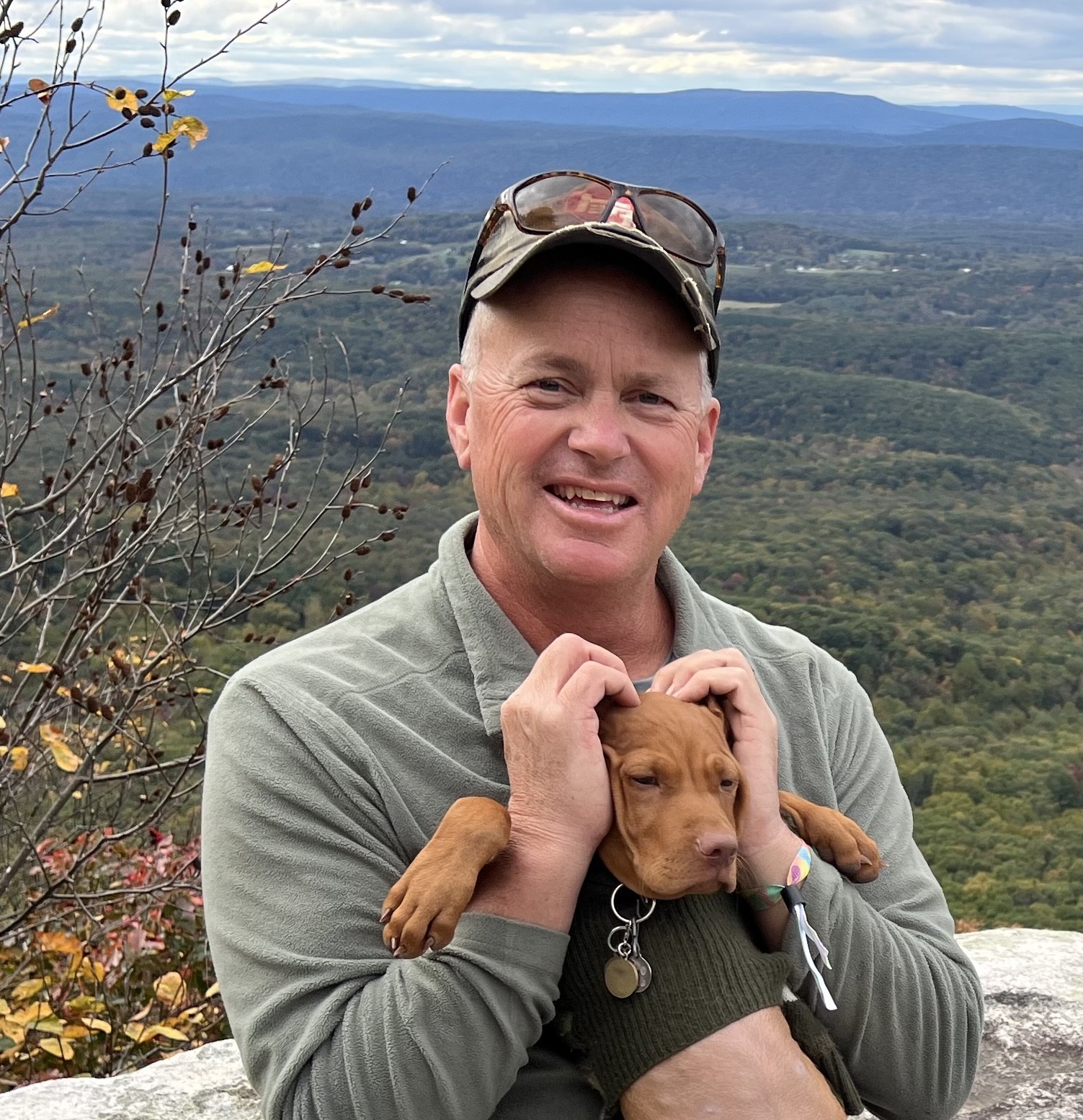 Cover image for public collection