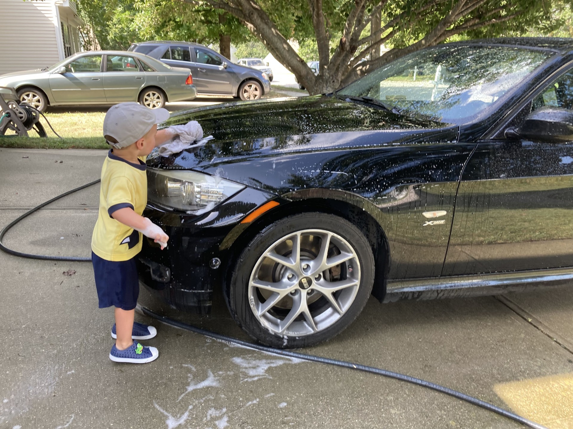 Cover image for public collection