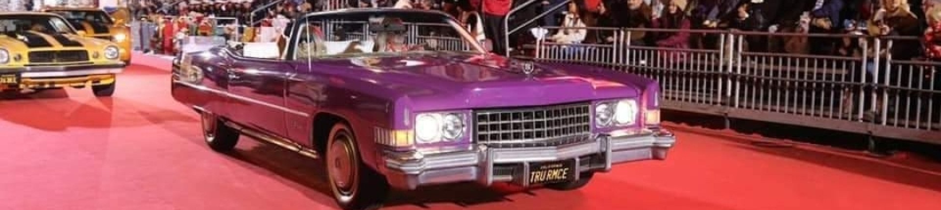 Cover image for public collection