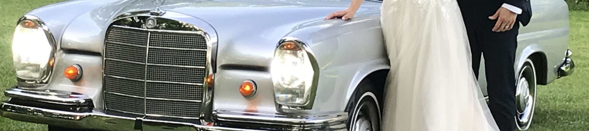 Cover image for public collection