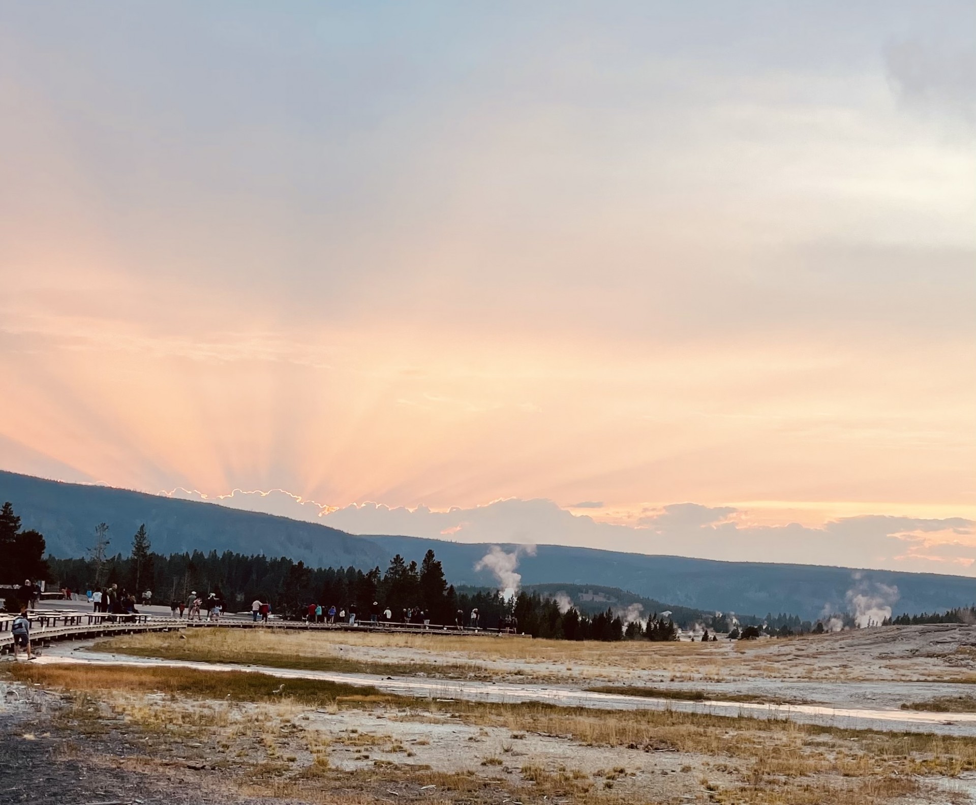 Cover image for public collection