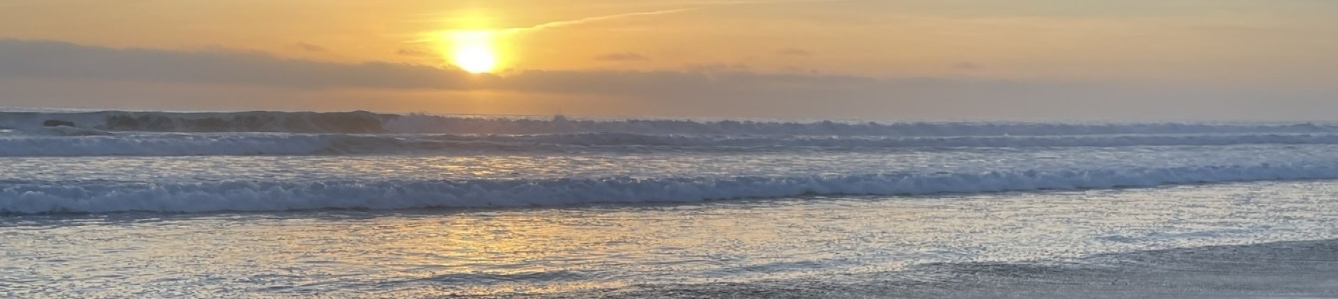 Cover image for public collection