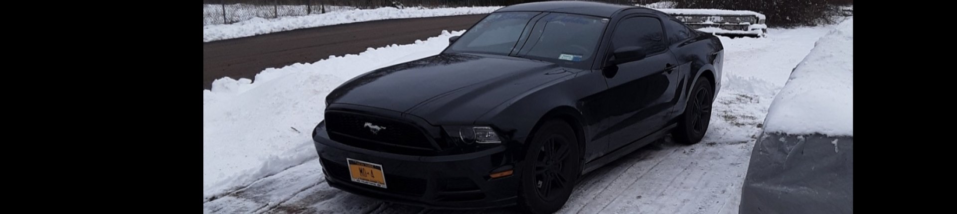 Cover image for public collection