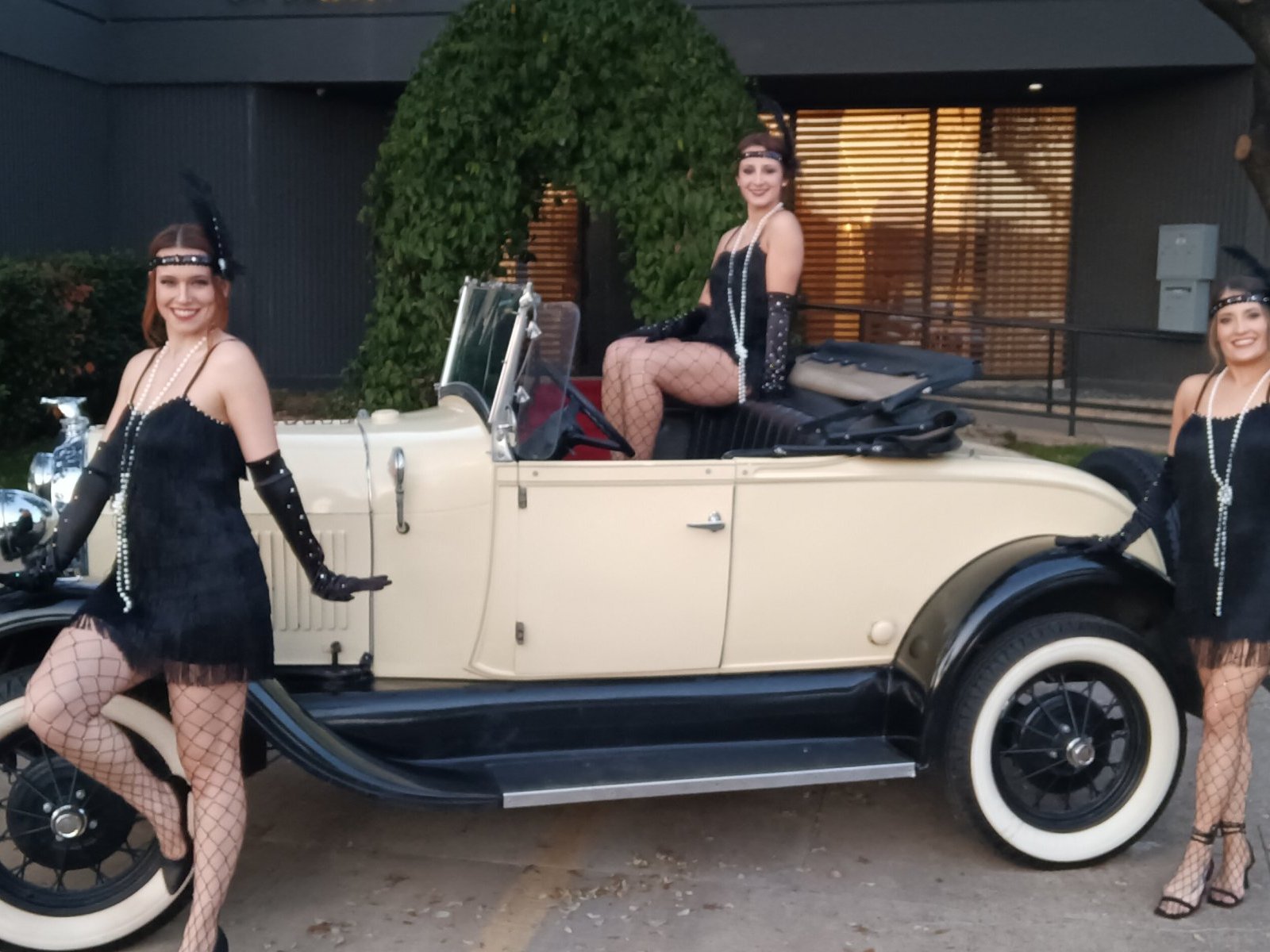 Cover image for public collection