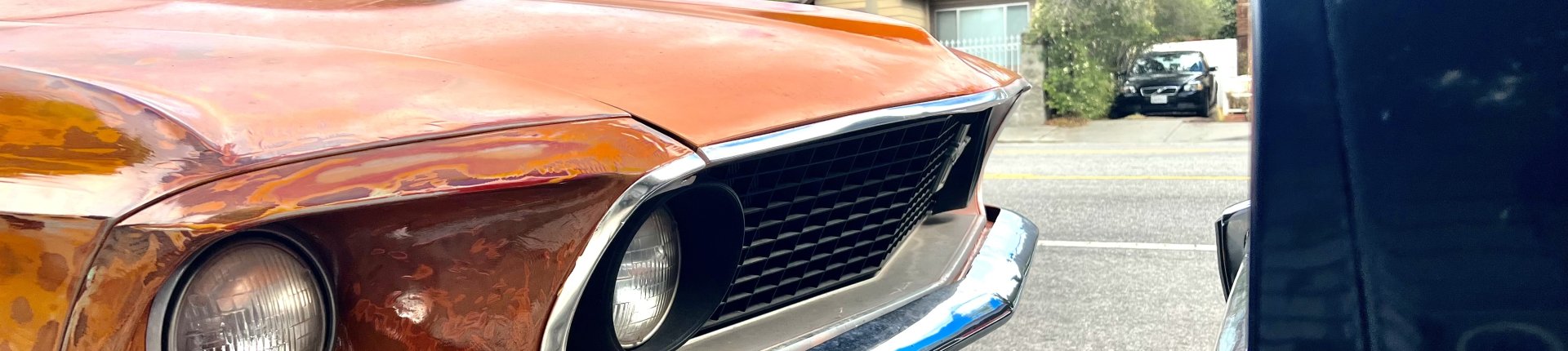 Cover image for public collection