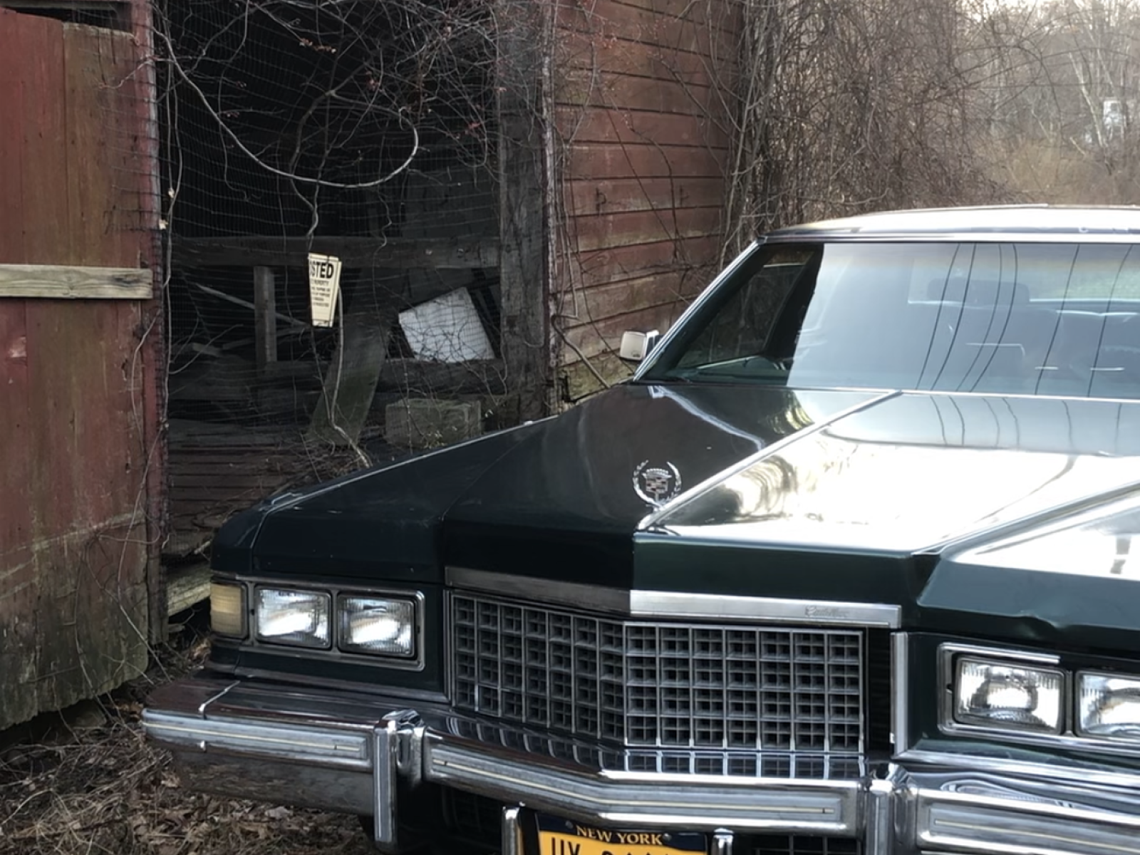 Cover image for public collection