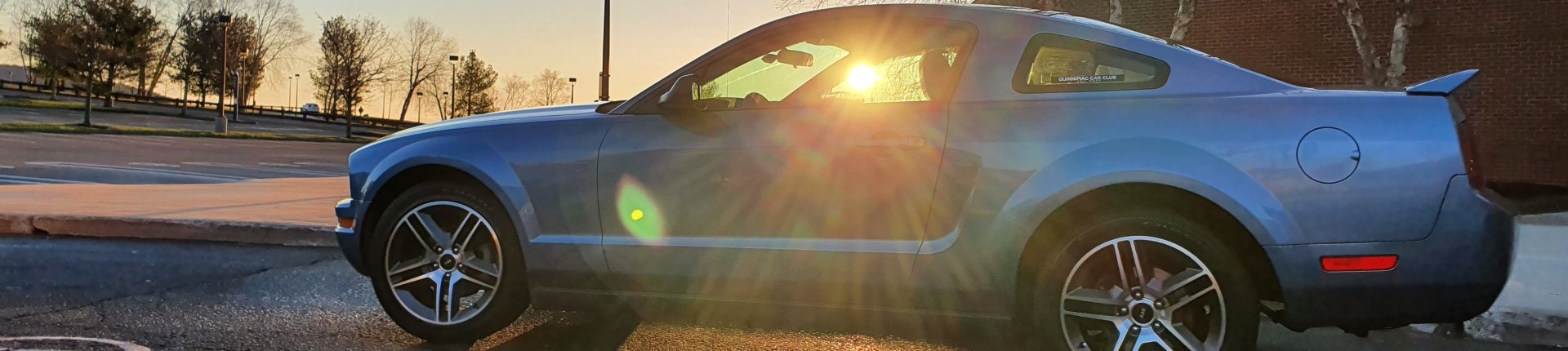 Cover image for public collection