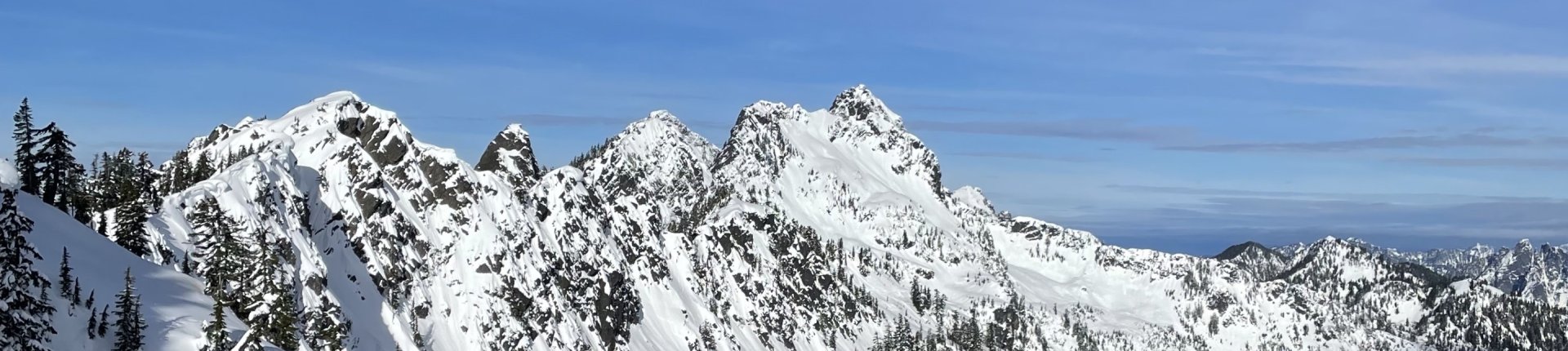 Cover image for public collection