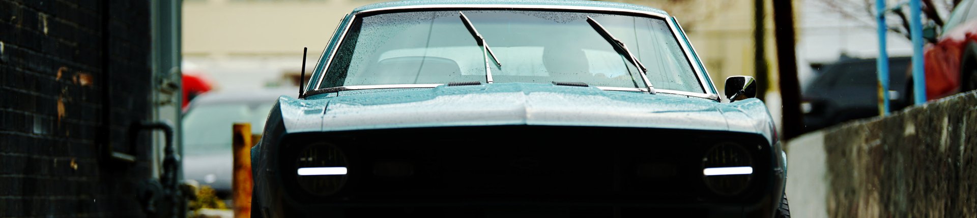 Cover image for public collection