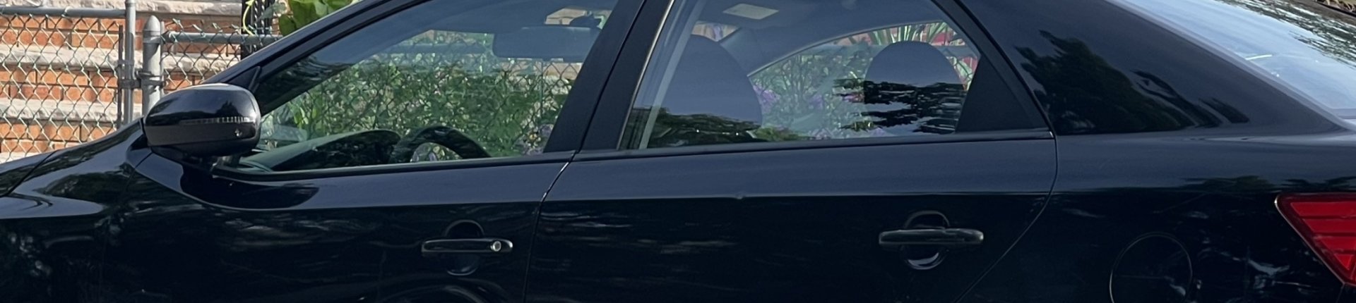 Cover image for public collection