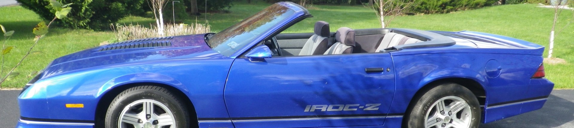 Cover image for public collection