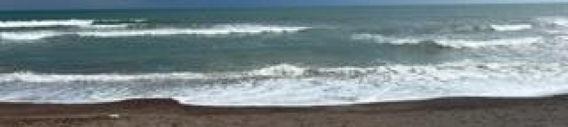 Cover image for public collection