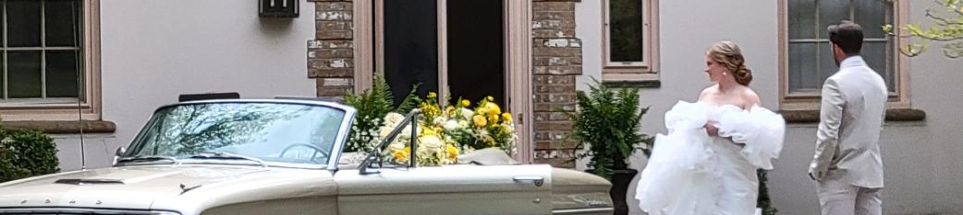 Cover image for public collection