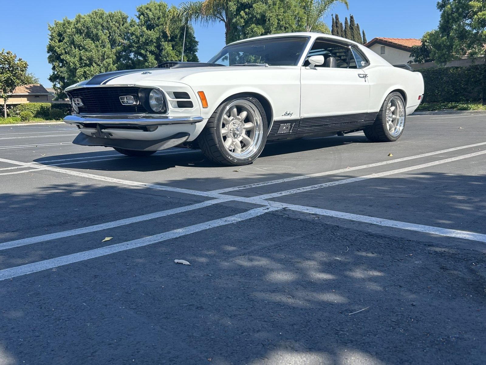 Cover image for public collection